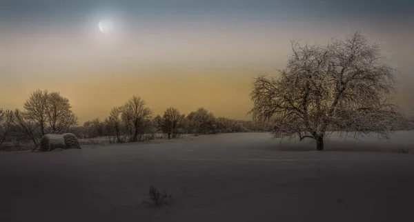 Noche de invierno pueblo paisaje, pajar y árbol iluminado por la luna —  Fotos de Stock