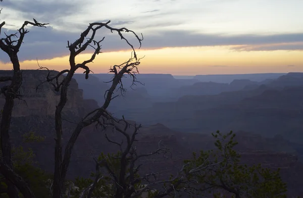 Lugn scen av Grand Canyon efter solnedgången — Stockfoto