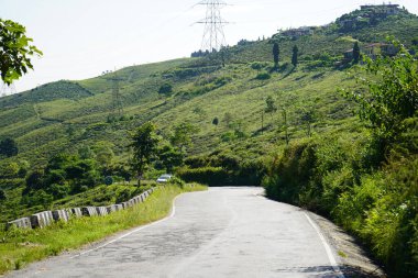Winding Mountain Road Ascending Lush Green Tea Plantation Hillside with Power Lines