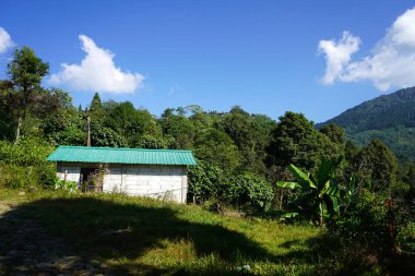 Lush Himalaya eteklerinde Yeşil Çatılı Küçük Beyaz Saray