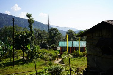Himalaya Kırsal Kır Evi Lush Green Mountainside Bahçesi 'nde