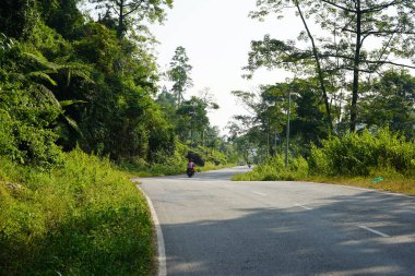 Sarmal asfalt yolu yemyeşil tropikal dağ ormanlarından geçiyor.