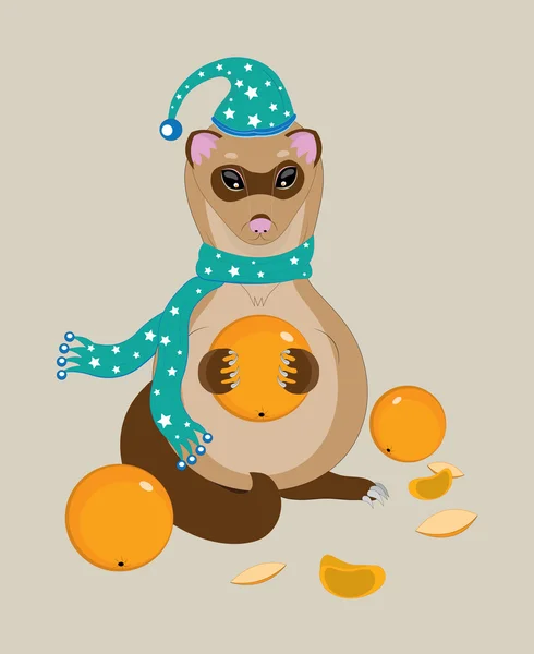 Le polecat mange des mandarines mûres . — Image vectorielle