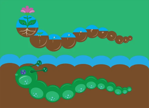 2 つの毛虫と花の開発の段階. — ストックベクタ