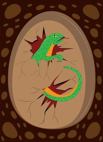 El niño de un lagarto sale del huevo . — Vector de stock