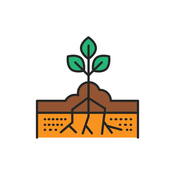 Groeiende Plant Kleur Lijn Pictogram Pictogram Voor Webpagina Mobiele App — Stockvector