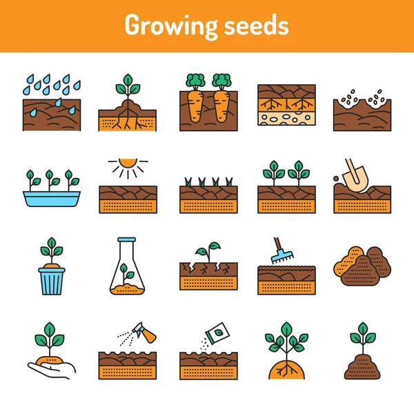 Büyüyen bitki renk çizgisi simgeleri ayarlandı. Web sayfası için piktogramlar, mobil uygulama, tanıtım. UI UX GUI tasarım elemanı. Düzenlenebilir vuruş.