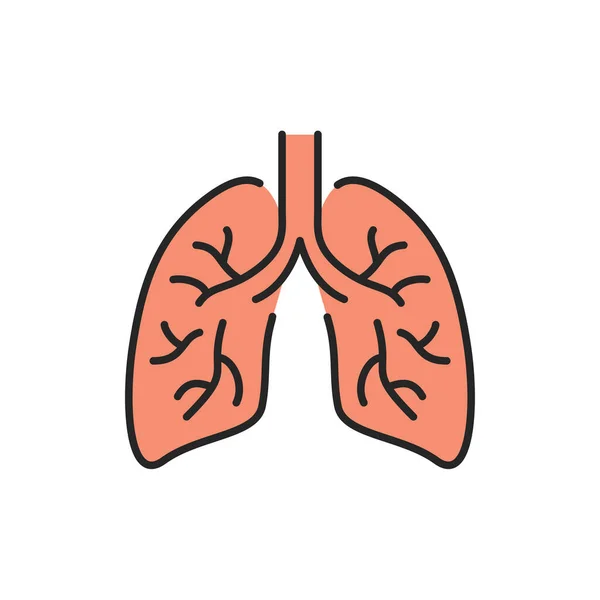 Icona linea di colore dei polmoni dell'organo umano. Ictus modificabile. — Vettoriale Stock