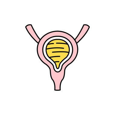 İnsan organı mesanesi renk çizgisi ikonu. Web sayfası için piktogram, mobil uygulama, tanıtım. UI UX GUI tasarım elemanı. Düzenlenebilir vuruş.