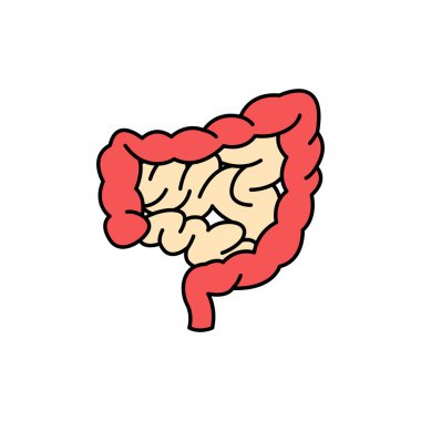 İnsan bağırsakları renk çizgisi simgesi. Web sayfası için piktogram, mobil uygulama, tanıtım. UI UX GUI tasarım elemanı. Düzenlenebilir vuruş.