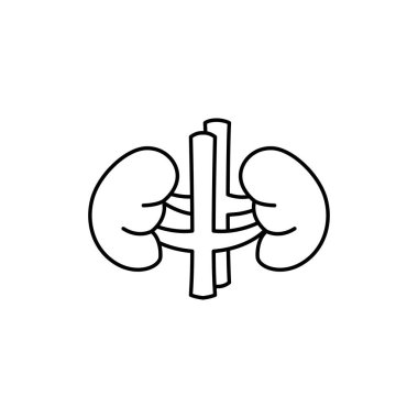 İnsan böbrekleri renk çizgisi simgesi. Web sayfası için piktogram, mobil uygulama, tanıtım. UI UX GUI tasarım elemanı. Düzenlenebilir vuruş.