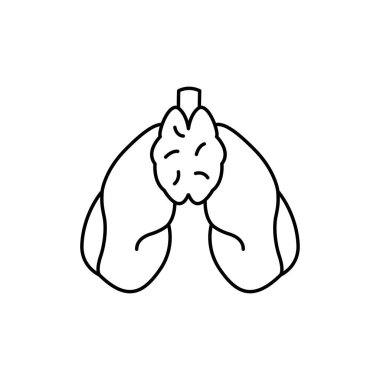 İnsan organları akciğerler ve tiroit bezi renk çizgisi ikonu. Web sayfası için piktogram, mobil uygulama, tanıtım. UI UX GUI tasarım elemanı. Düzenlenebilir vuruş.