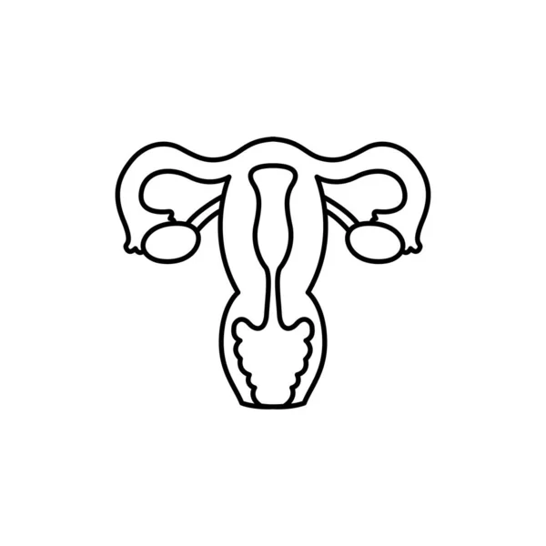 Das Symbol Für Die Farblinie Des Menschlichen Organs Uterus Piktogramm — Stockvektor