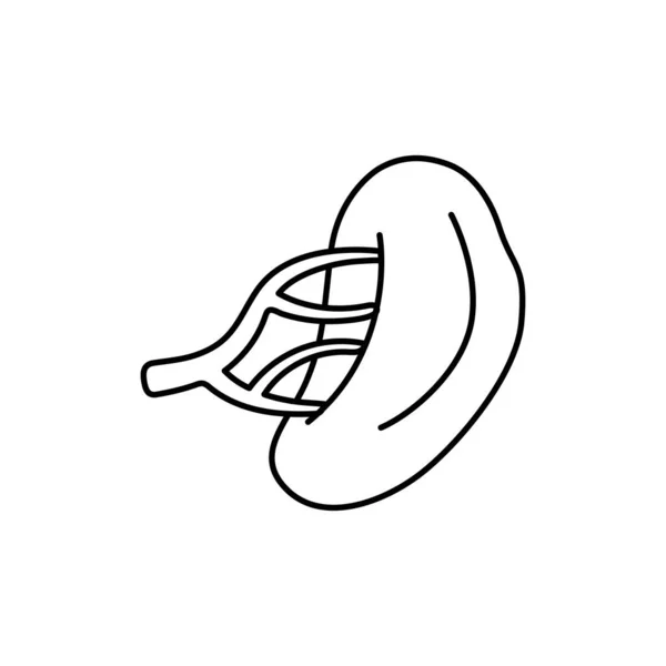 Das Symbol Des Menschlichen Organs Milz Farbe Linie Piktogramm Für — Stockvektor