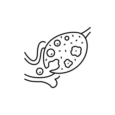 Yumurtlama renk çizgisi simgesi. Dişi üreme sistemi. Web sayfası için piktogram, mobil uygulama, tanıtım. UI UX GUI tasarım elemanı. Düzenlenebilir vuruş.