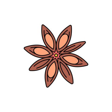 Renk çizgisi simgesini anason yapın. Temel yağlar meyve tohumları. Web sayfası için piktogram, mobil uygulama, tanıtım. UI UX GUI tasarım elemanı. Düzenlenebilir vuruş.