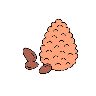 Sedir rengi çizgisi simgesi. Temel yağlar meyve tohumları. Web sayfası için piktogram, mobil uygulama, tanıtım. UI UX GUI tasarım elemanı. Düzenlenebilir vuruş.