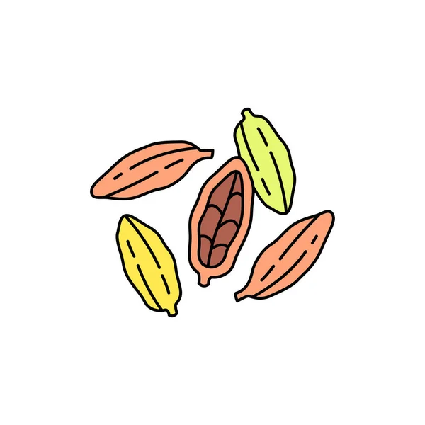Kakule Renk Çizgisi Simgesi Temel Yağlar Meyve Tohumları Web Sayfası — Stok Vektör