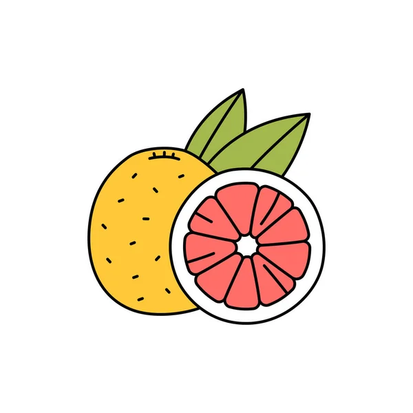 グレープフルーツ色の線のアイコン エッセンシャルオイルフルーツの種 ウェブページ モバイルアプリ プロモーションのためのPictogram Guiデザイン要素 編集可能なストローク — ストックベクタ