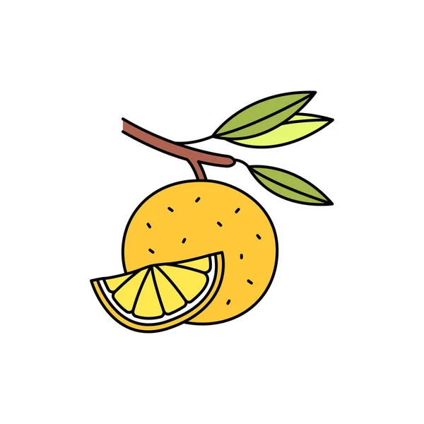 Citrus Olor Line Icon Оливкова Олія Плодоносить Насіння Pictogram Web — стоковий вектор