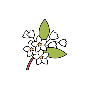 Yasemin renk çizgisi simgesi. Gerekli yağlar. Web sayfası için piktogram, mobil uygulama, tanıtım. UI UX GUI tasarım elemanı. Düzenlenebilir vuruş.