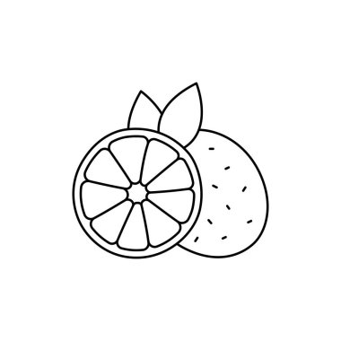 Lime olor line icon. Essential oils fruit seeds. Pictogram for web page, mobile app, promo. UI UX GUI design element. Editable stroke. vector