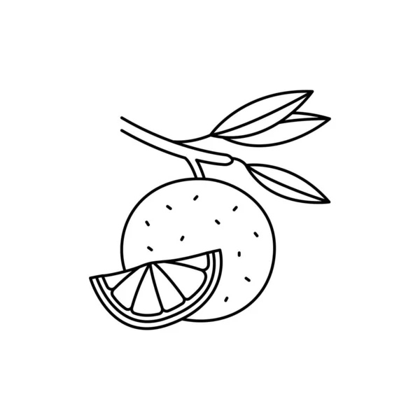 柑橘系のカラーラインアイコン エッセンシャルオイルフルーツの種 ウェブページ モバイルアプリ プロモーションのためのPictogram Guiデザイン要素 編集可能なストローク — ストックベクタ