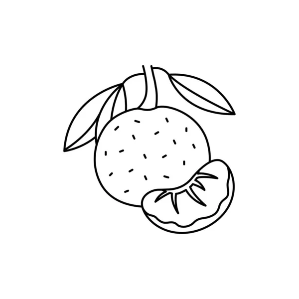 柑橘系のカラーラインアイコン エッセンシャルオイルフルーツの種 ウェブページ モバイルアプリ プロモーションのためのPictogram Guiデザイン要素 編集可能なストローク — ストックベクタ