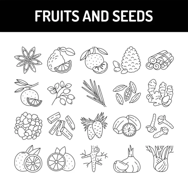 Frutas Sementes Ícones Linha Olor Set Pictograma Para Página Web — Vetor de Stock