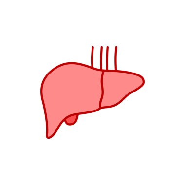 Karaciğer çizgisi renk simgesi. İnsan organı kavramı.
