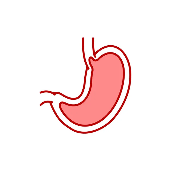 Icône Ligne Couleur Gastroentérologie Icône Couleur Ligne Estomac — Image vectorielle