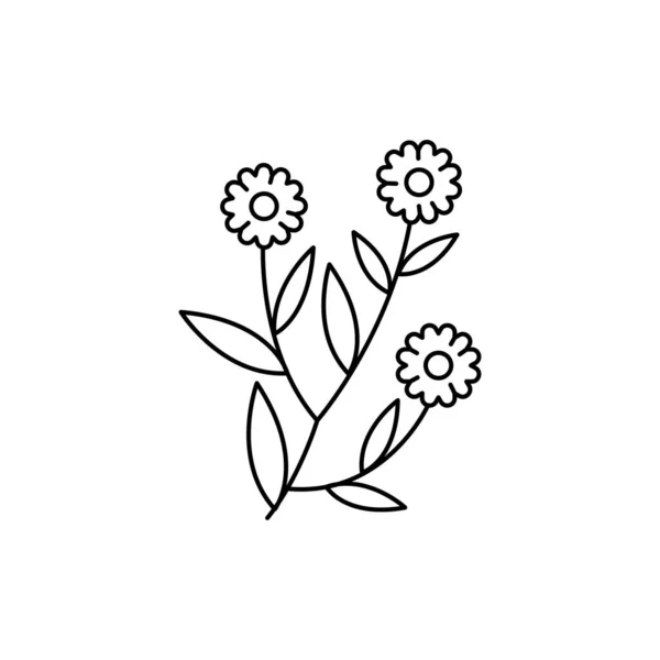 Значок Линии Цвета Галендулы Эфирные Масла Пиктограмма Веб Страницы Мобильного — стоковый вектор