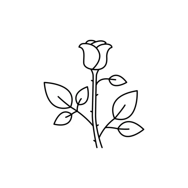 Значок Линии Розового Цвета Эфирные Масла Пиктограмма Веб Страницы Мобильного — стоковый вектор