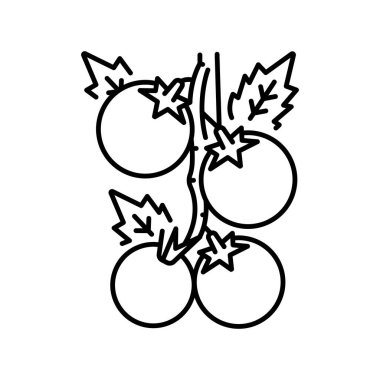 Dijital ve yazdırma projeleri için siyah çizgili domatesler. Sebze ekimi. Uygulamalar ve web siteleri için en az temiz simgeler. UI UX ve markalaşma için modern basit simgeler