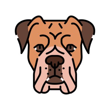 Dijital ve yazdırma projeleri için boxer siyah çizgi simgesi. Köpek cinsi. Uygulamalar ve web siteleri için en az temiz simgeler. UI UX ve markalaşma için modern basit simgeler