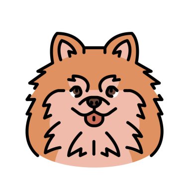 Dijital ve yazdırma projeleri için Pomeranya siyah çizgi simgesi. Köpek cinsi. Uygulamalar ve web siteleri için en az temiz simgeler. UI UX ve markalaşma için modern basit simgeler