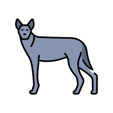 Dijital ve yazdırma projeleri için Hint kurdu renk çizgisi simgesi. Asyalı hayvanlar. Uygulamalar ve web siteleri için en az temiz simgeler. UI UX ve markalaşma için modern basit simgeler