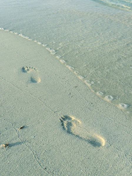 Empreintes de pas dans le sable — Photo