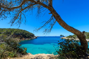 İbiza, İspanya - 2 Mayıs 2016: Cala Salada ve Cala Saladeta, İbiza adasında San Antonio belediyesine bağlı iki plaj. Etrafta çok az inşaat var. Adanın en bozulmamış iki plajı var. Bu küçük körfez çapa için ideal.