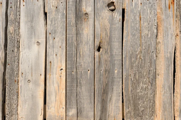 Texture of old wood with woodworm Stock Picture