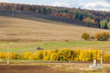 Sonbahar sürülmüş alan, bir büyük söğüt ağacı hasat çim biçme