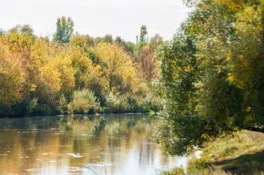 Sonbahar, nehrin ormanı ile kaplı parlak güneşli bir günde
