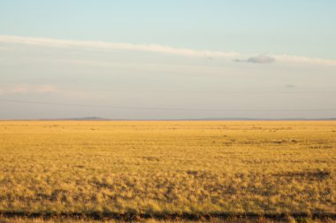 Kır. ve Larga açık alan in-belgili tanımlık otlak,