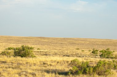 Bozkır yaz aylarında. Orta Asya Kazakistan