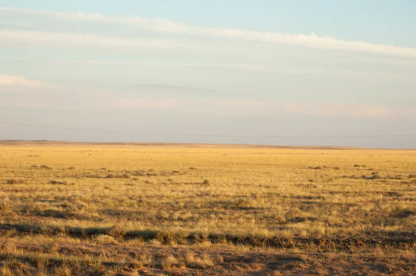 Prairie Larga Área Aberta Das Pastagens — Fotografia de Stock