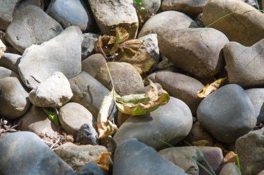 Doku, arka plan. çakıl taşları. düzgün ve yuvarlak su veya kum eylem tarafından yapılan küçük bir taş.