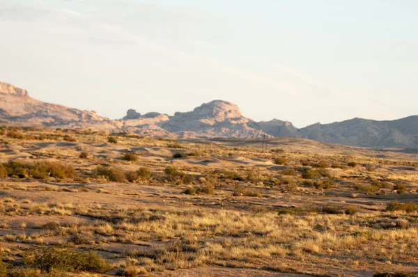 Dağ Bektau - Ata. Yolu Bektau - Ata. Orta Asya Kazakistan. 