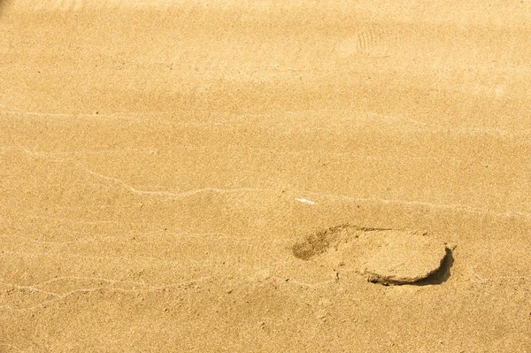 Textura, fondo. la arena en la playa. sustrato granular suelto — Foto de Stock