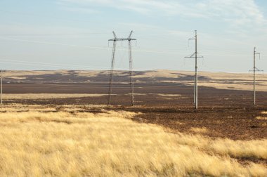 Bozkır yaz aylarında. Orta Asya Kazakistan
