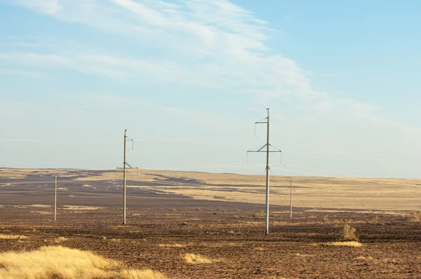 Steppe in the summer. Central Asia Kazakhstan